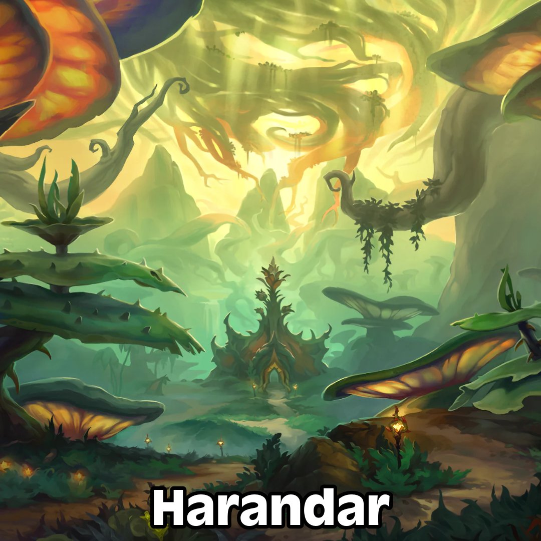 Bears Adventures tweet media