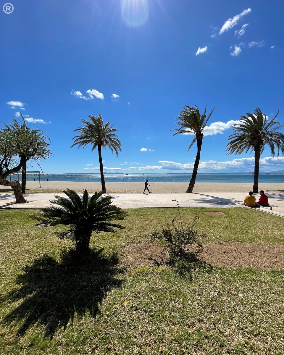 Visit Roses tweet media