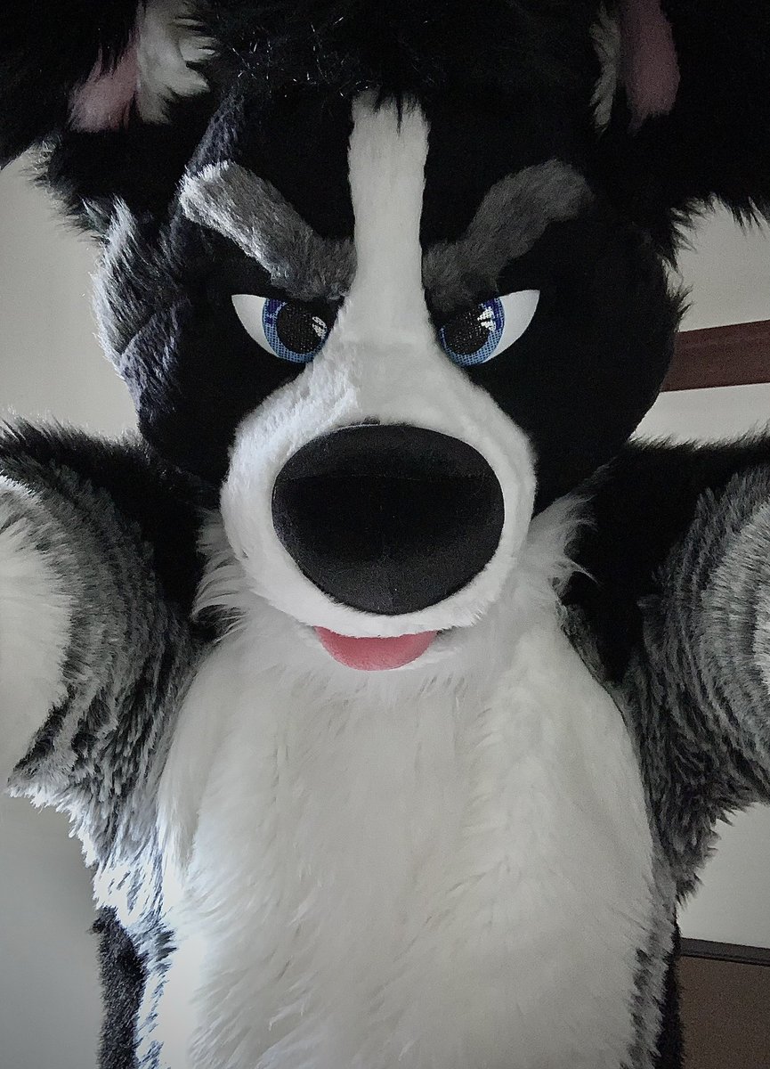 Collie King tweet media