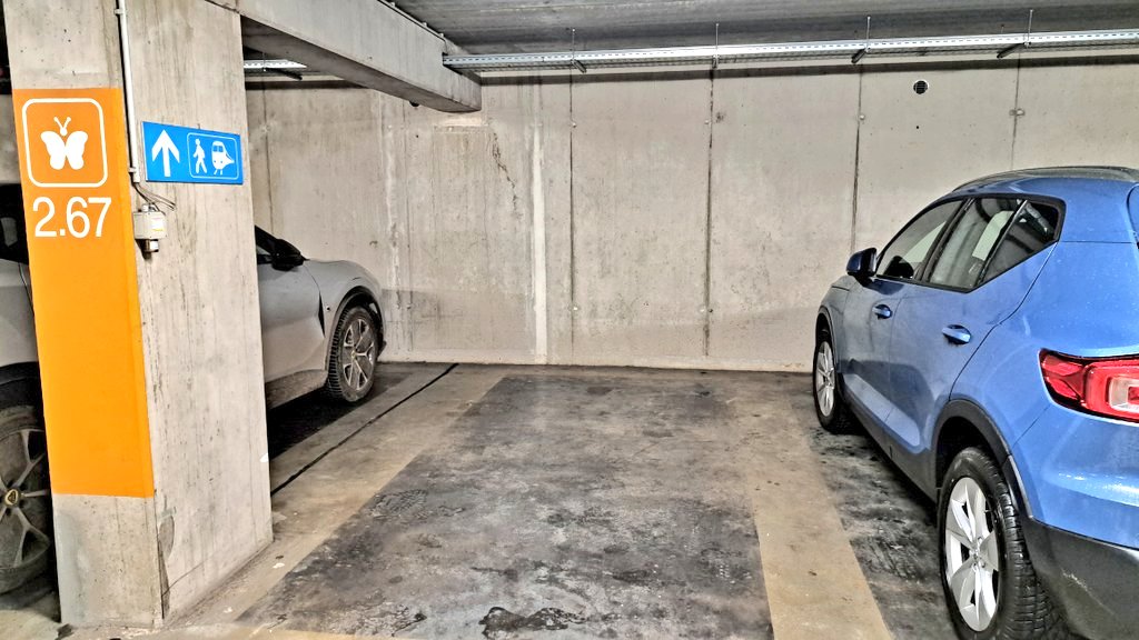 ilse janssens tweet media