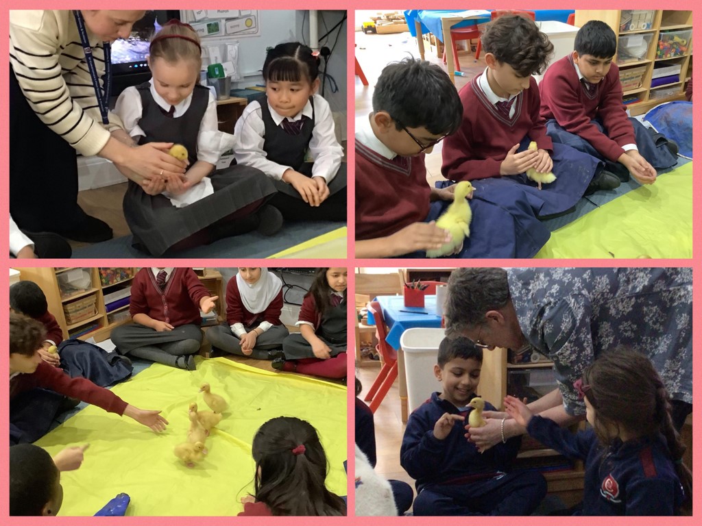 St. Christopher's Prep School and Nursery tweet media