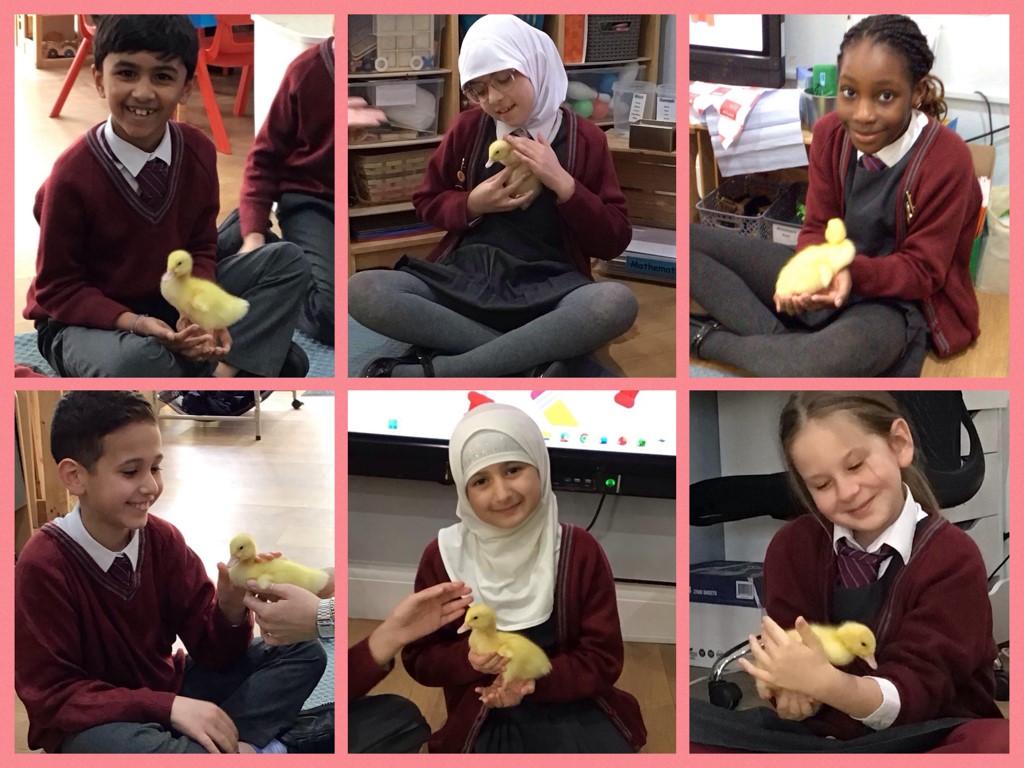 St. Christopher's Prep School and Nursery tweet media