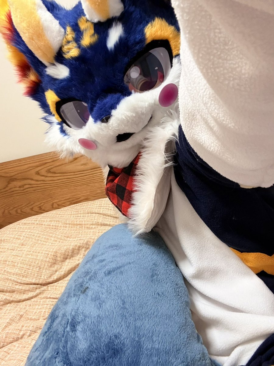 嘉禾🔜乞讨 tweet media