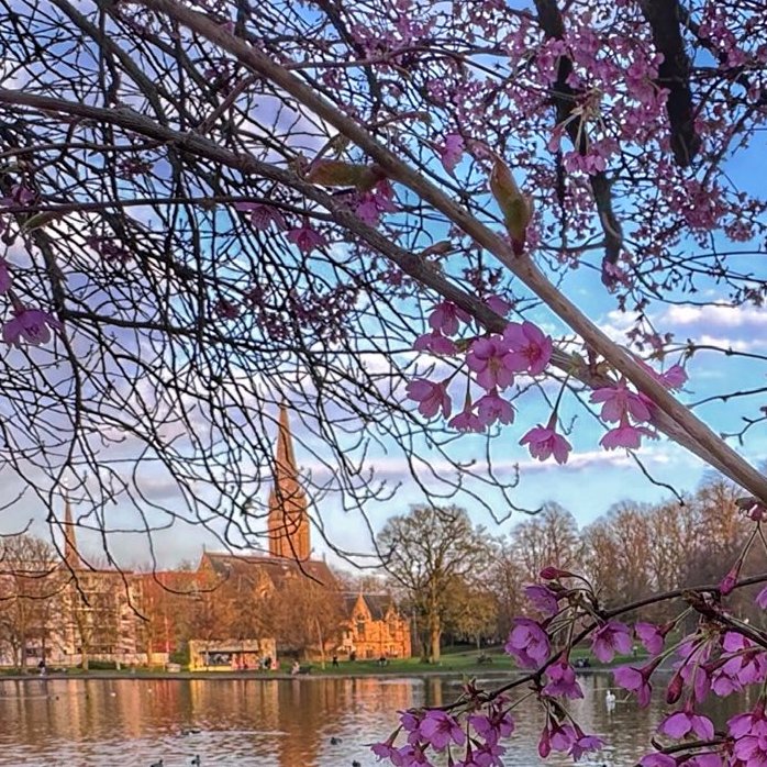 Spring in Glasgow...