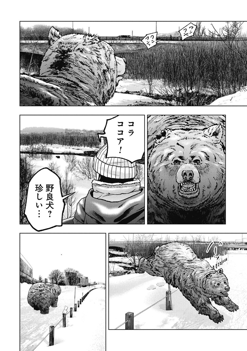 『クマ撃ちの女』最新話無料公開中🆓

因縁のヒグマ"牙欠け"が旭川中をさまよった末に
たどり着いたこの場所は--

衝撃・怒涛の新章に突入です🐻

クマ撃ちの女 - 安島薮太 / 第138話 | くらげバンチ [ https://t.co/xVVhZsBRTm ] 