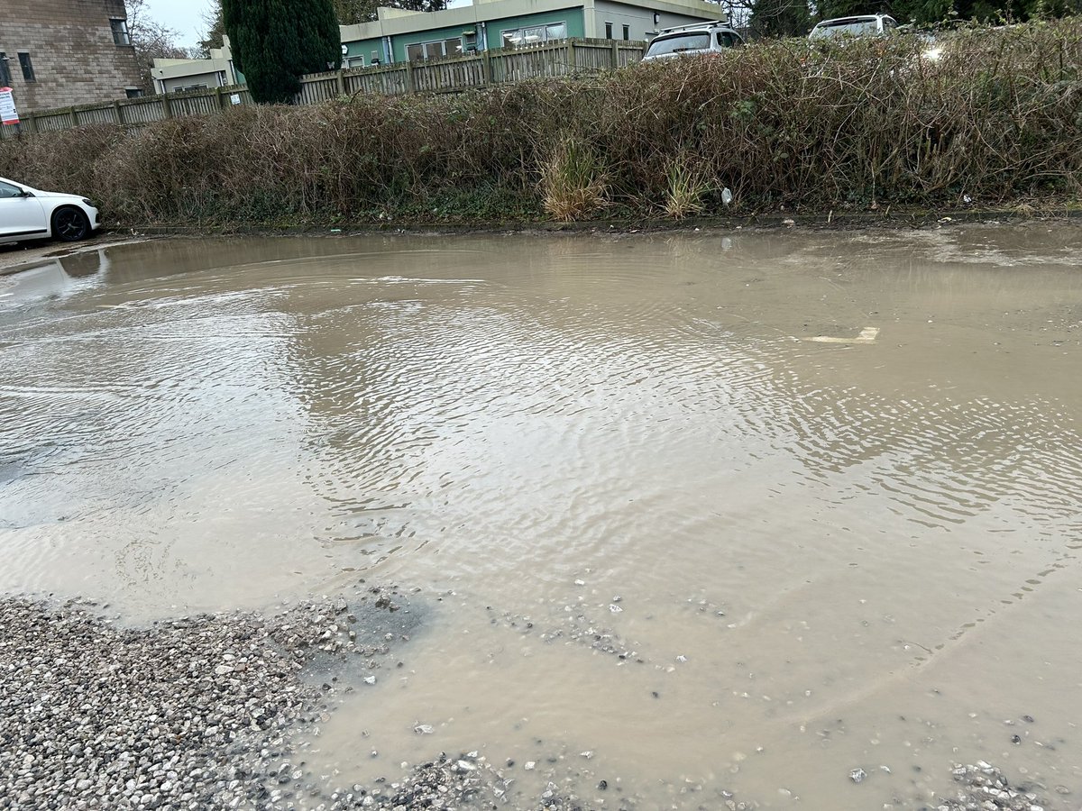 Cazz Brock tweet media