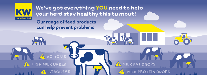 KW Feeds tweet media