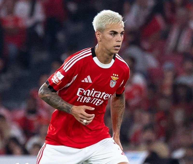 Zé Manel tweet media