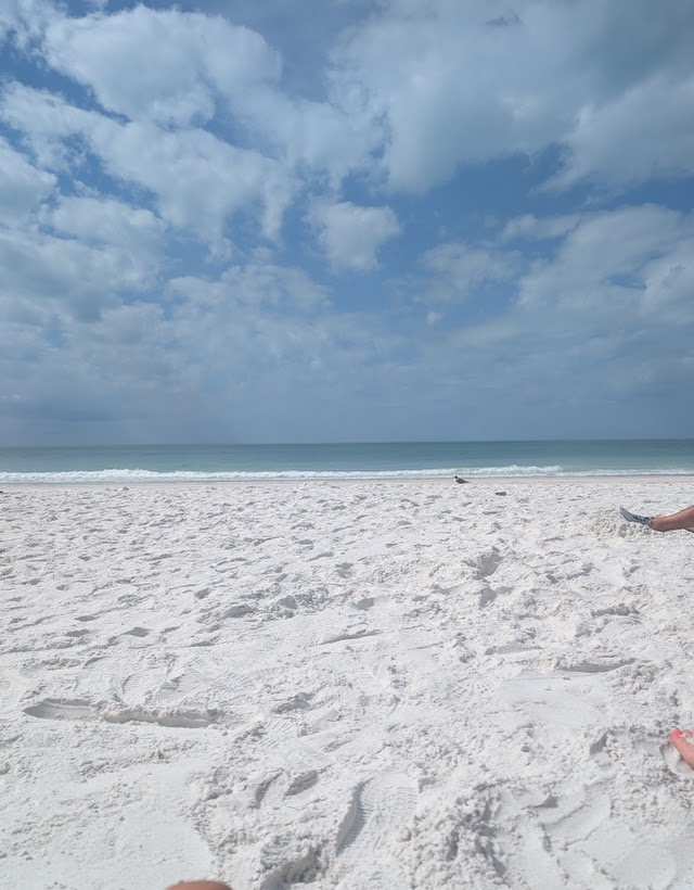 Carlene Auestad tweet media