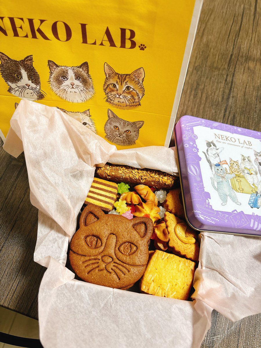 nvr_qv's tweet photo. ホワイトデーにクッキー缶もらった～🐈🐾 https://t.co/uW4Rd7OqQv