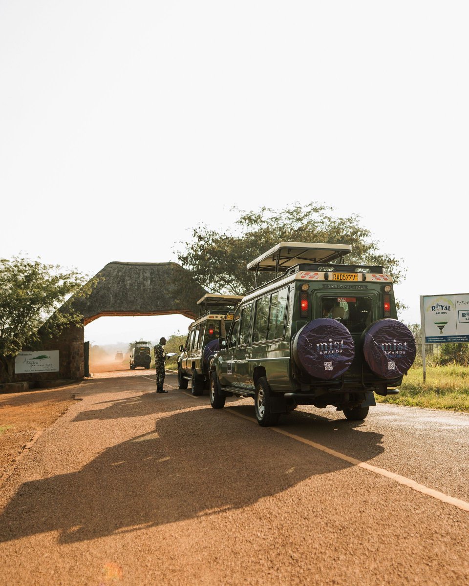 Mist Rwanda Safaris tweet media