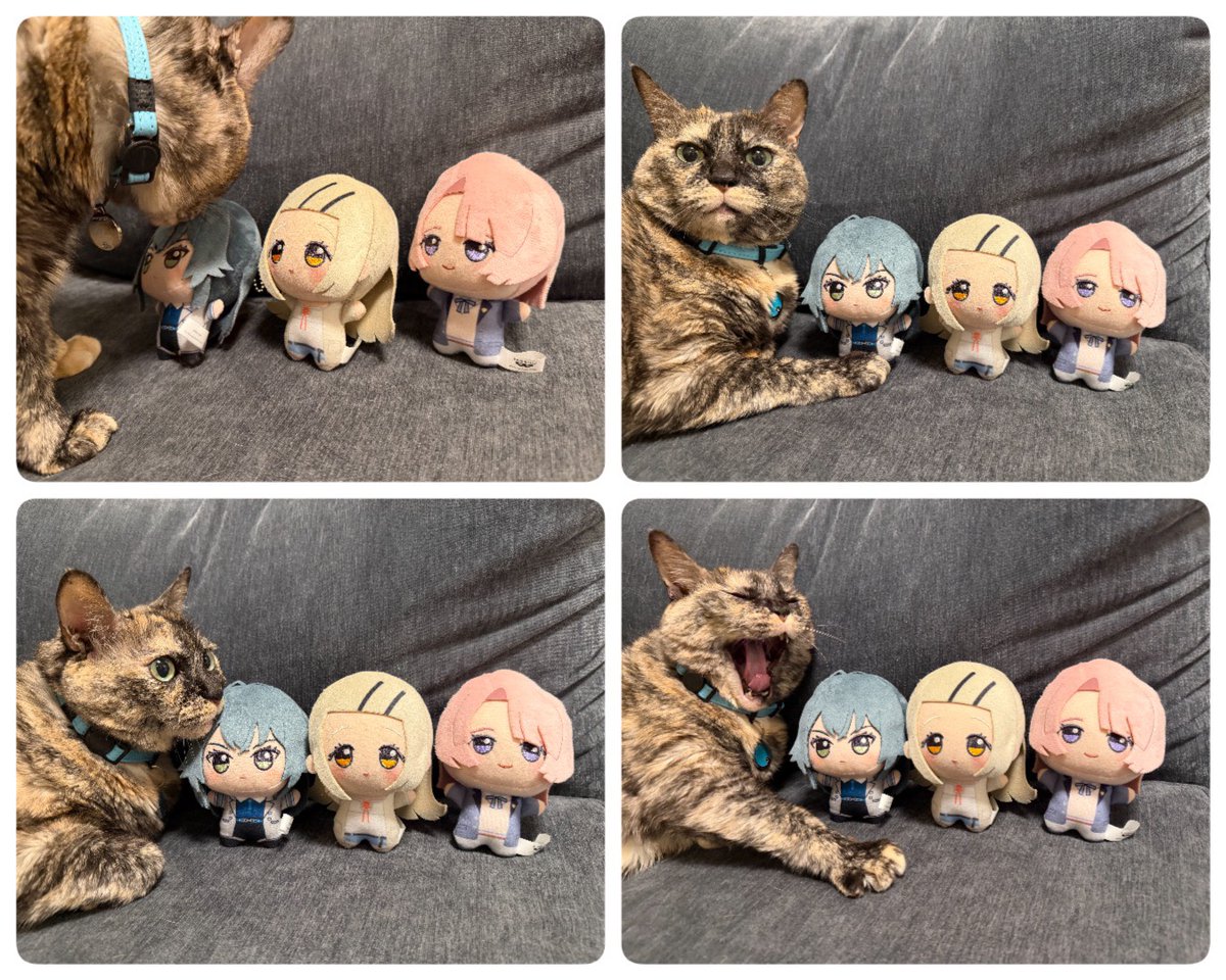 コピマス -THE iDOLM@STER COPY BAND LIVE STAGE!!- tweet media