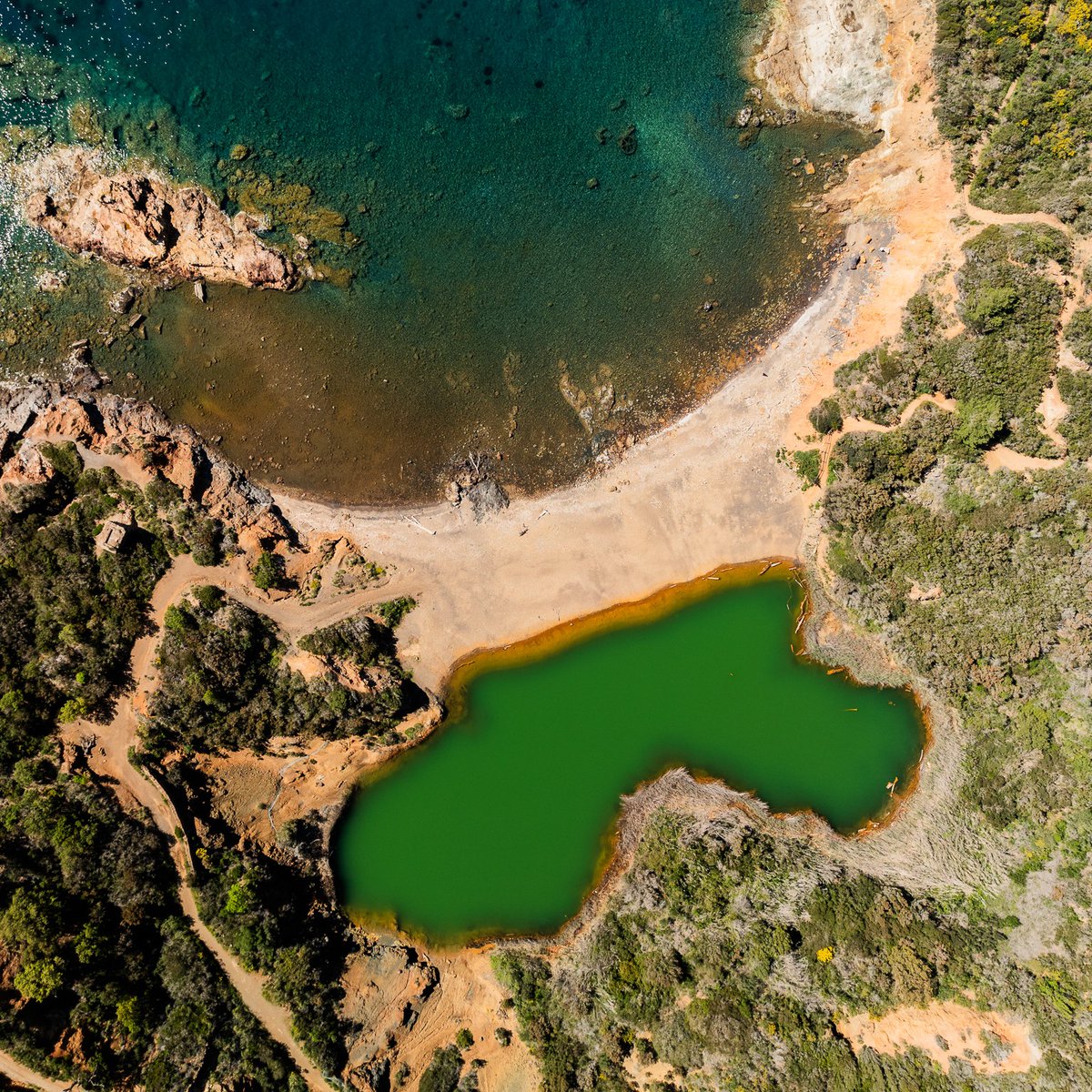 Visit Elba Official tweet media