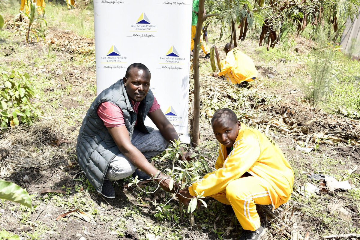 E.A. Portland Cement PLC tweet media