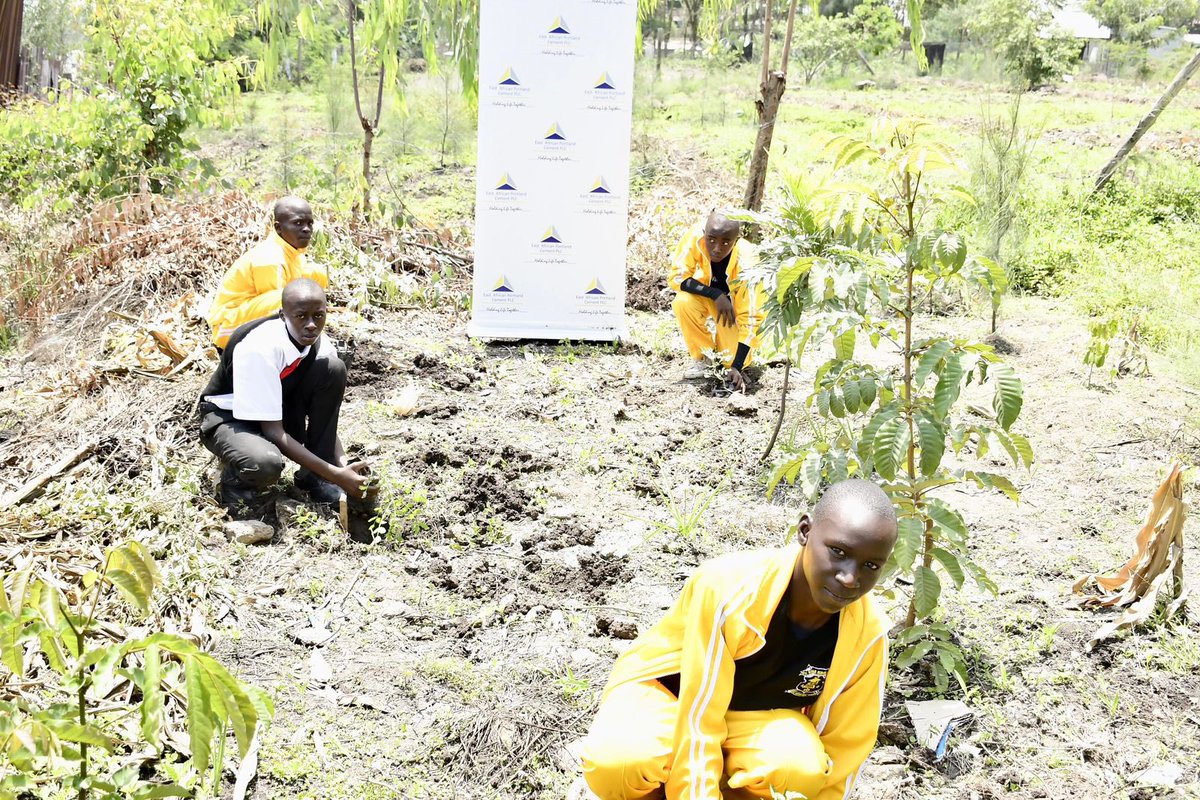 E.A. Portland Cement PLC tweet media