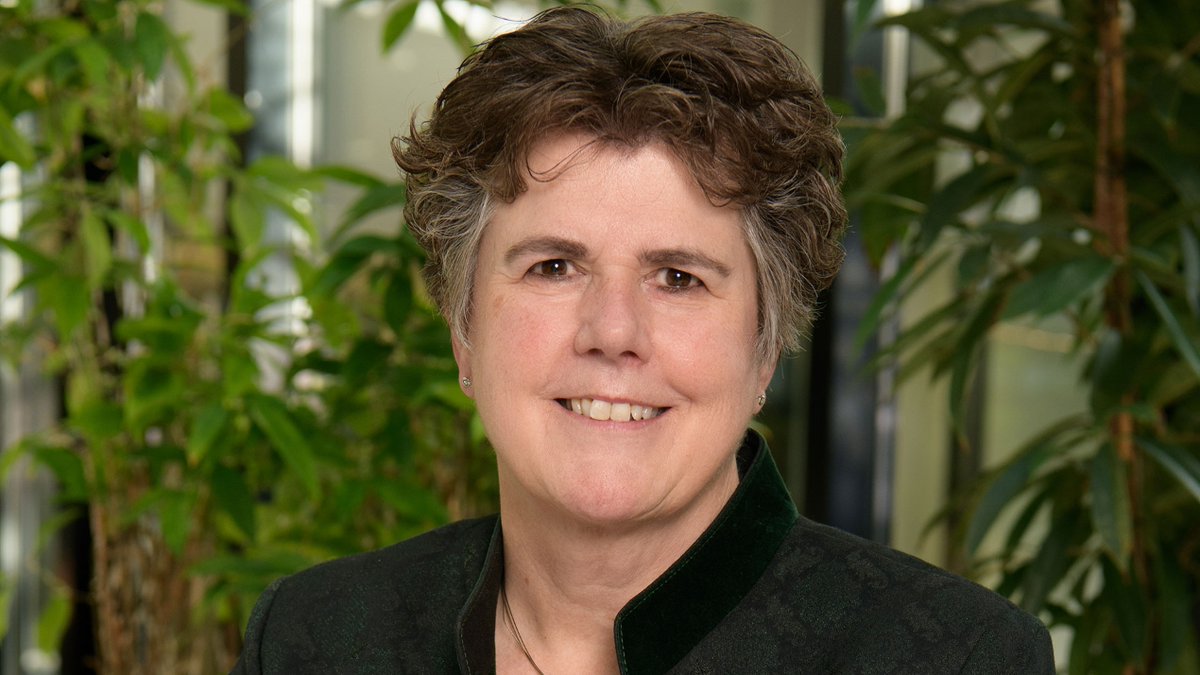 Provincie Noord-Brabant tweet media