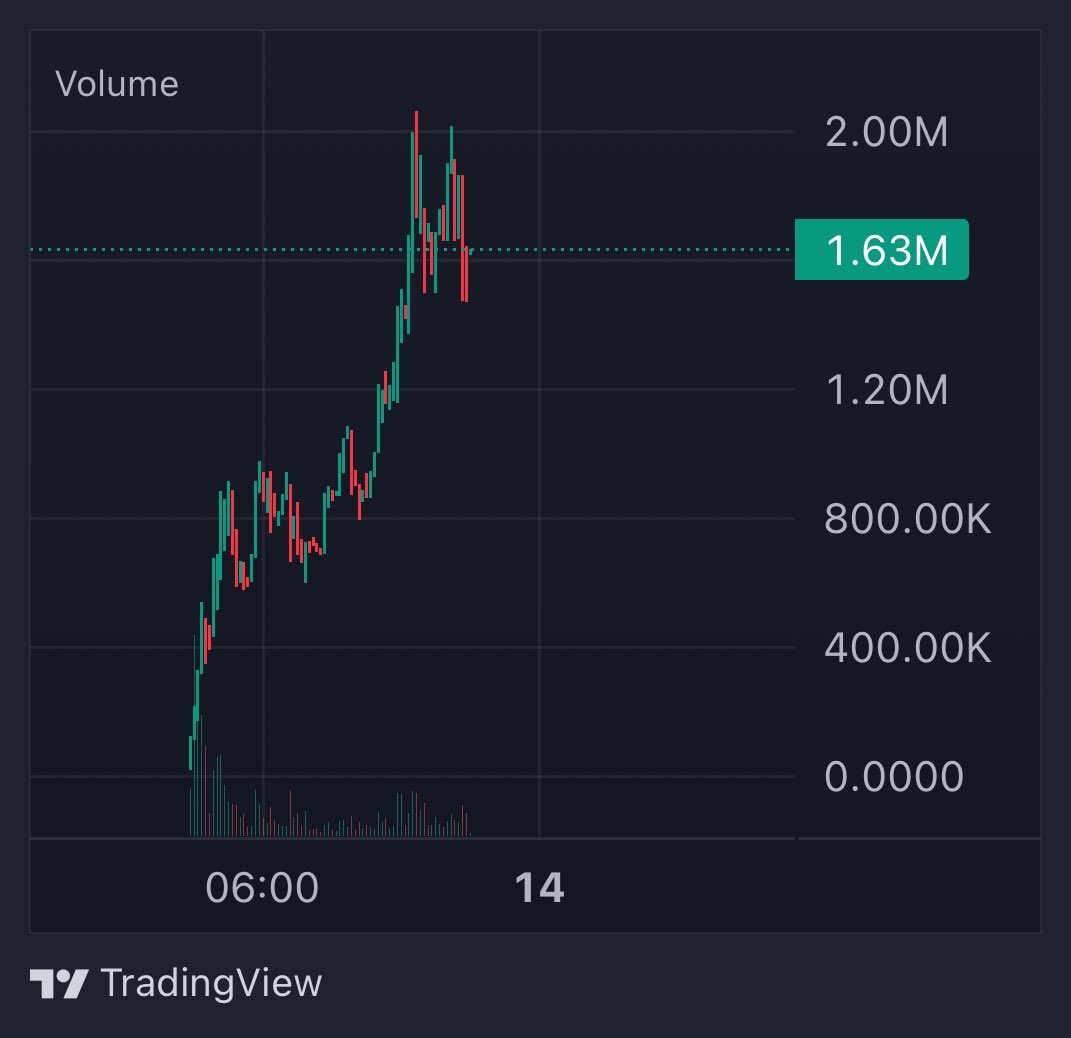 izzy ↑ tweet media