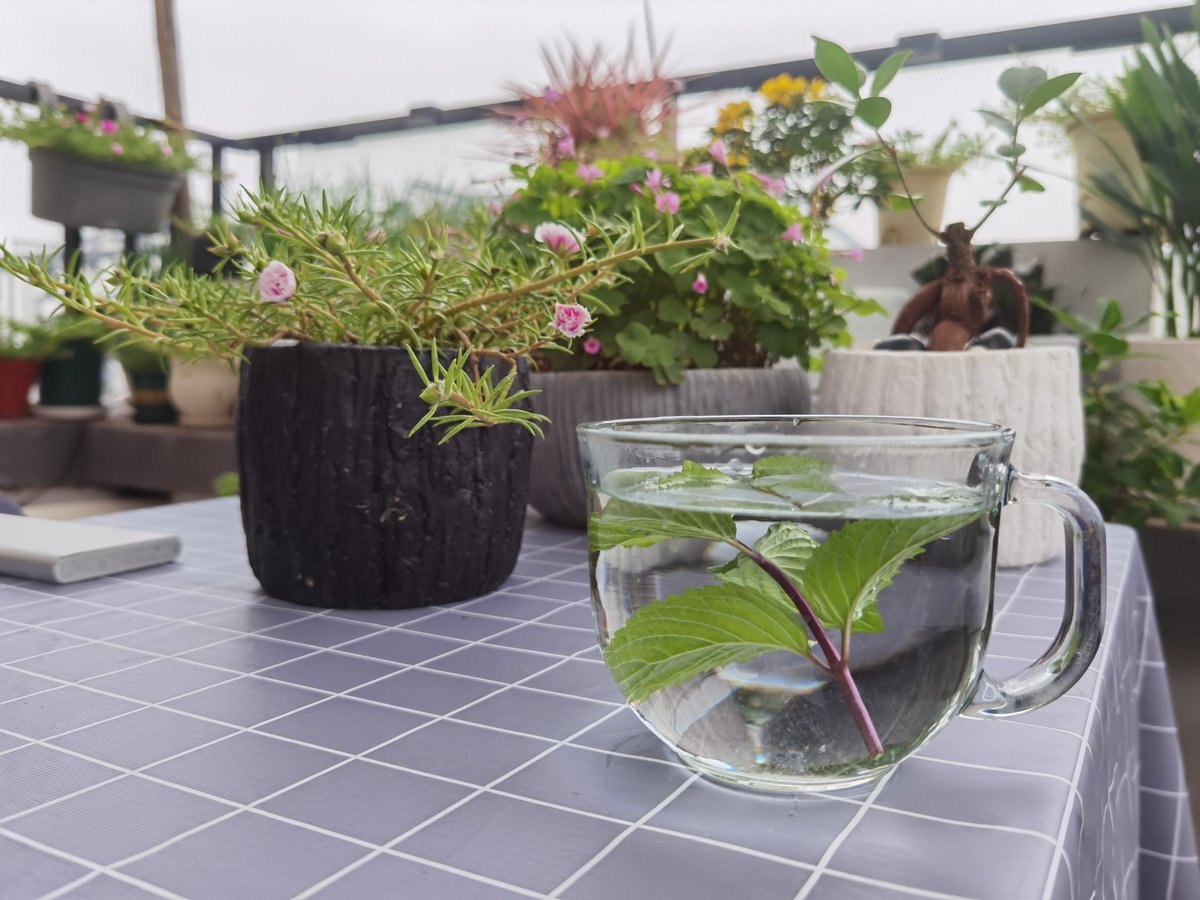 Baorn Invatsmnets tweet media