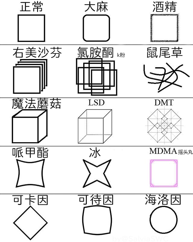 鼠尾草～🌿 tweet media