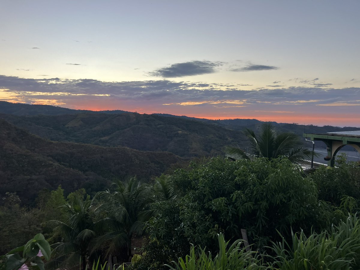 Joe Coffey 🇸🇻🇺🇸 tweet media