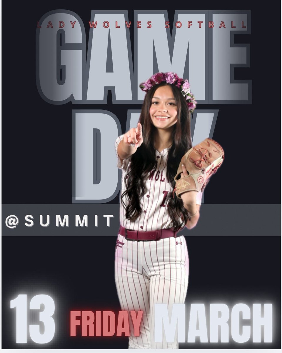 Timberview Softball tweet media