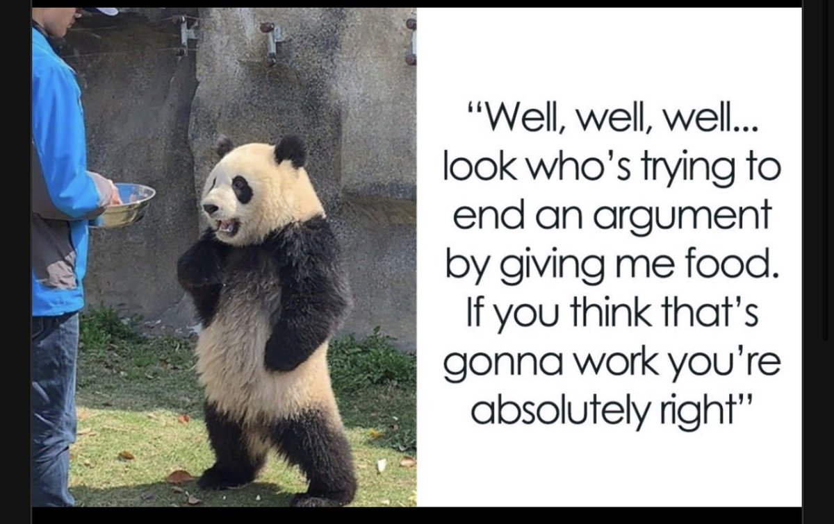 The Redheaded Troublemaker tweet media