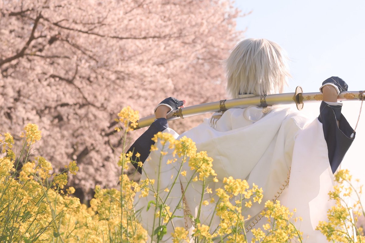 harukaonlyfora's tweet photo. ⚠️cosplay 

　no.130

   春、霞む

photo by ＠chiyonngiyu https://t.co/qIaW9V5SxB