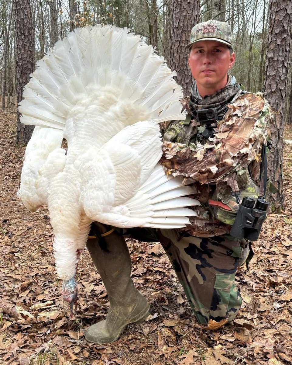 Buckmasters Nation tweet media