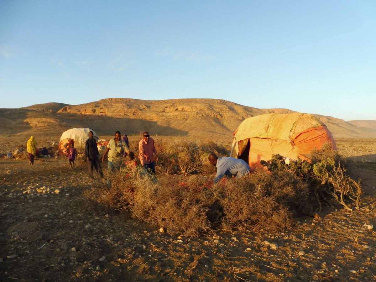 Markus Virgil Hoehne tweet media