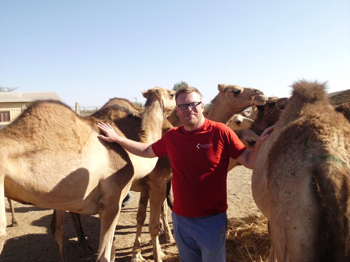 Markus Virgil Hoehne tweet media