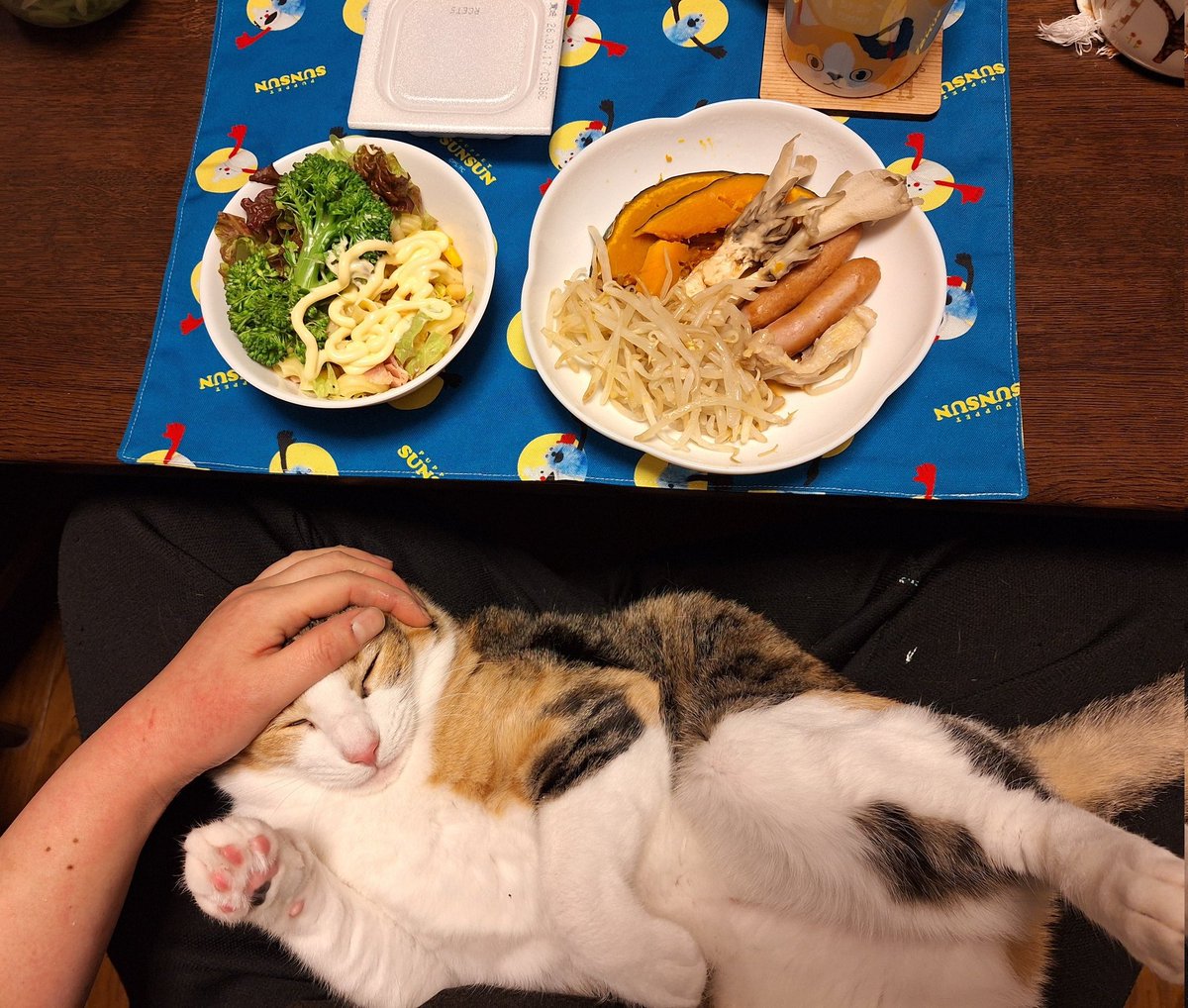 kawaii_nekoniko's tweet photo. 蒸し野菜マカロニサラダたべました https://t.co/OKozliVjbY