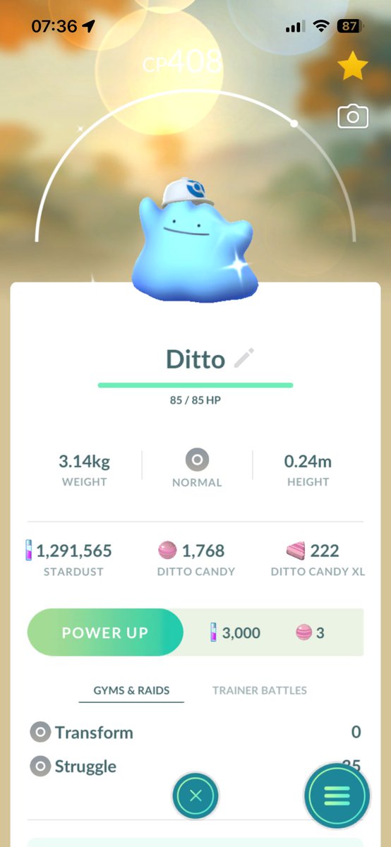 AaaaaaronP's tweet photo. Shiny Ditto whisperer over here this morning.  Not shiny background Ditto whisperer, but I ended up with both hats! https://t.co/MdGlwgoigk