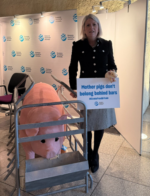 Humane World for Animals UK tweet media