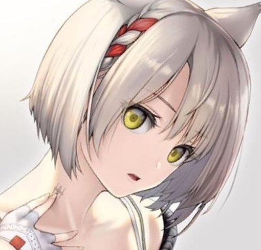 平野 翔叶 tweet media