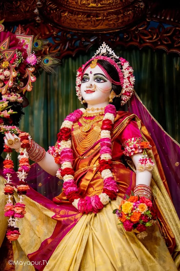 dineshkumar_in tweet media