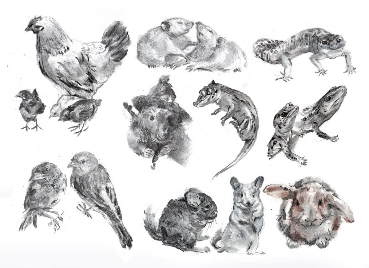 хтось tweet media