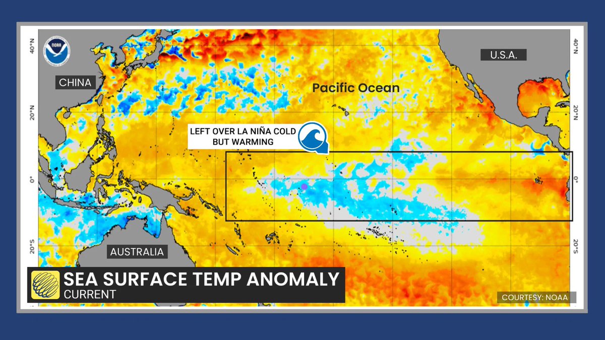 Eduardo J. Dose tweet media