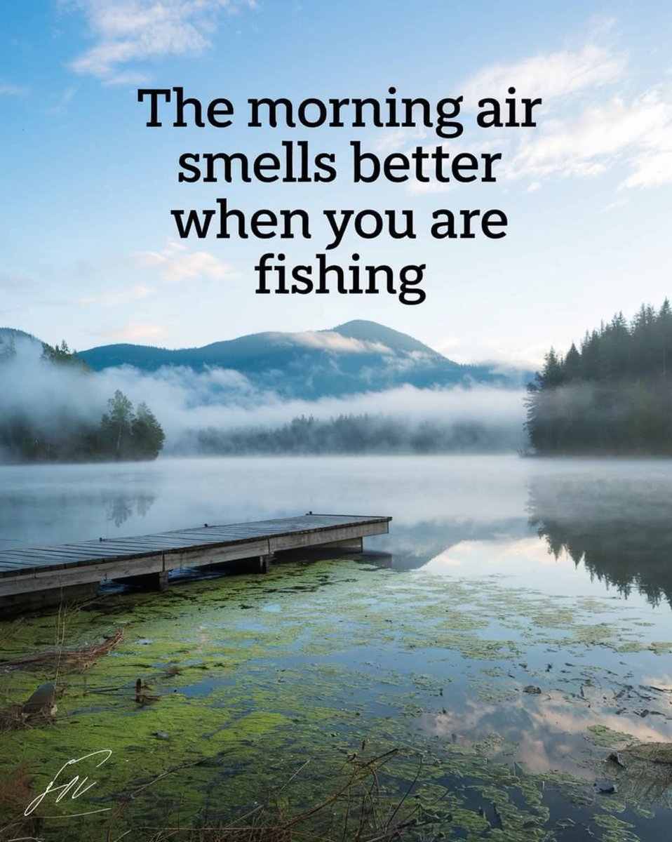 Fishreaper tweet media