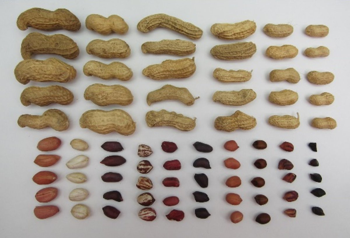 Agricultural Research Service tweet media