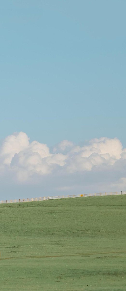 いと🎏 tweet media