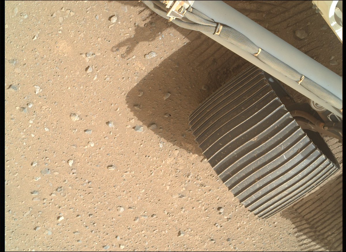 Ángel Gómez Roldán tweet media