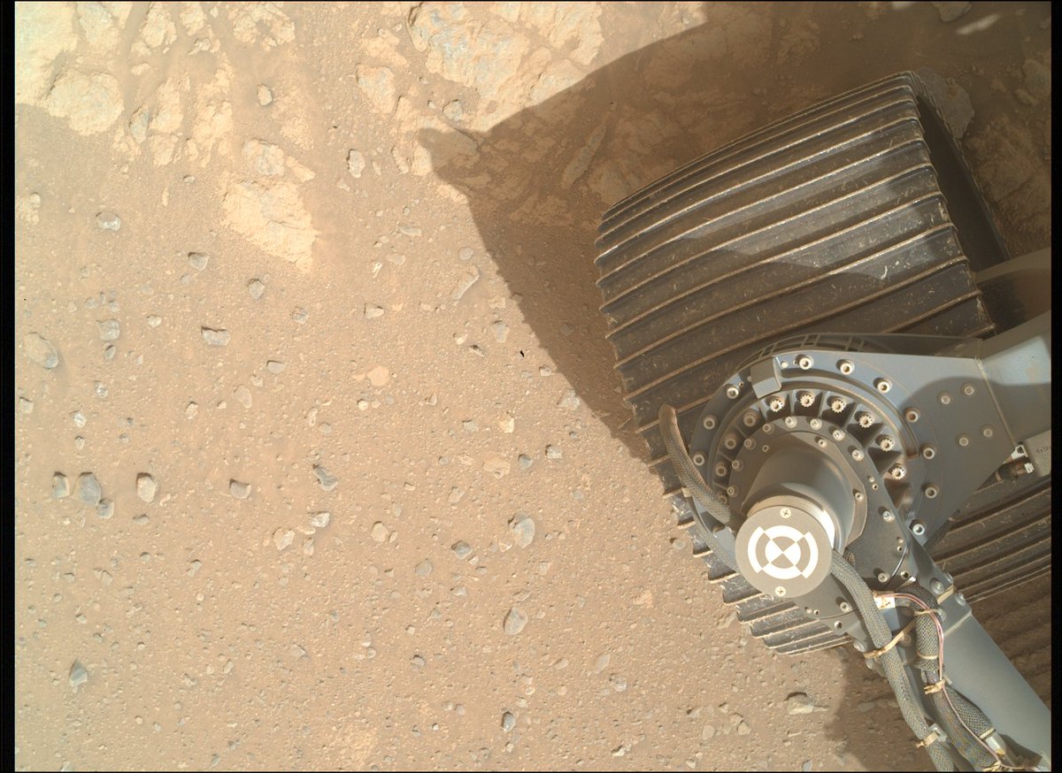 Ángel Gómez Roldán tweet media