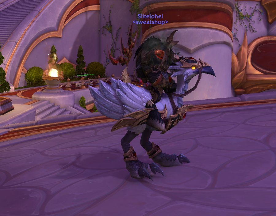 Slitelohel tweet media