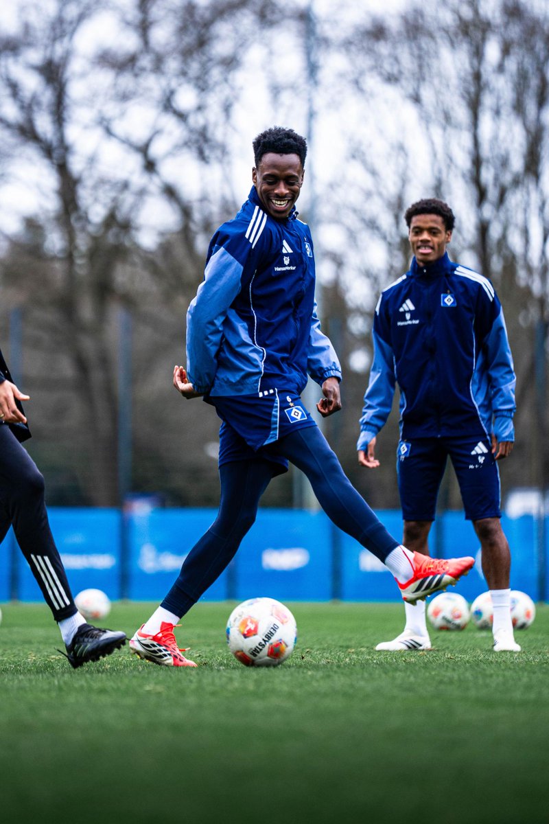 HSV English tweet media