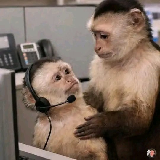 “uyabizwa i cigarette yakho itshise umgqomo”😭