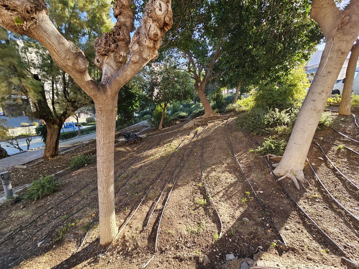 Nuestro equipo de jardinería manos a la obra, transformando el jardín del Teatro Villa de Molina. ¡Cada rincón más limpio y acogedor! 🌿✨

#LimpiezaaFondo #ServiciodeJardinería #MolinadeSegura
