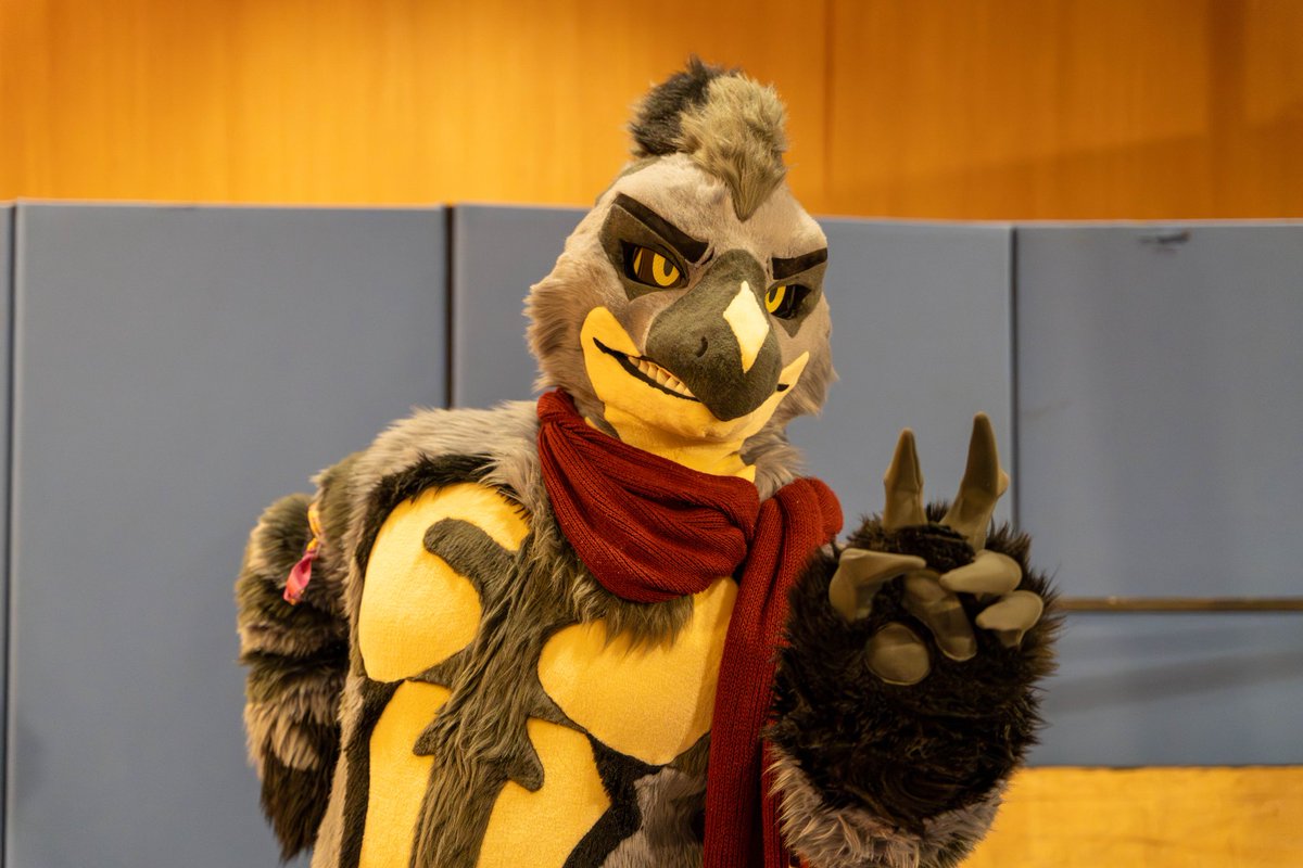 チェリー🌸🍒 tweet media