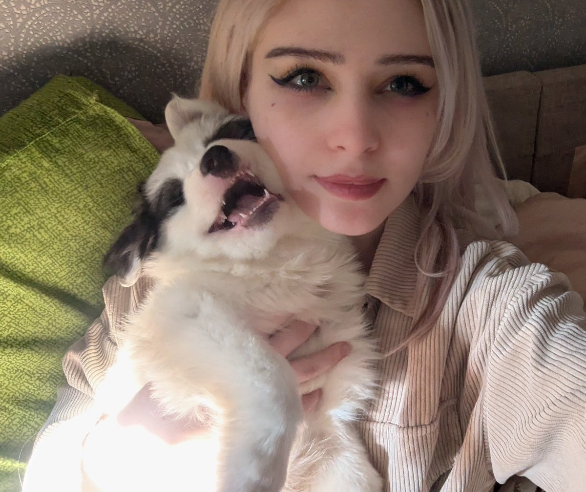 Вечное сияние чистого ахуя tweet media