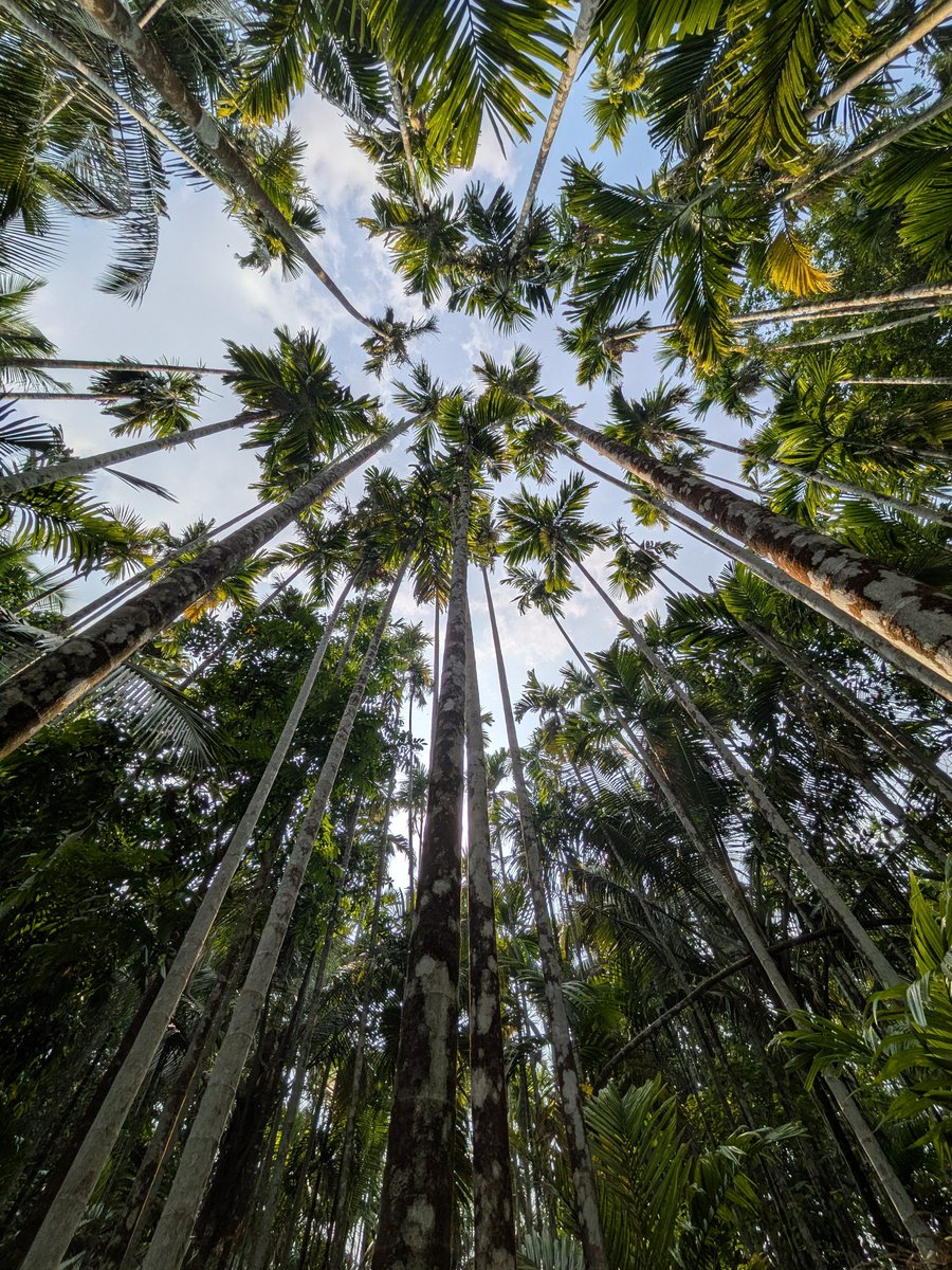 Krishna Kumar tweet media