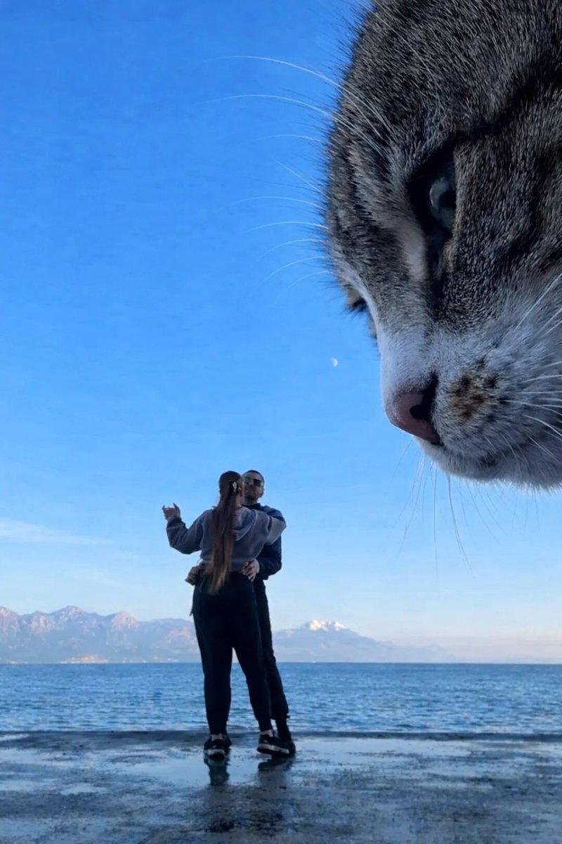 KONGSI VIRAL🇲🇾 tweet media